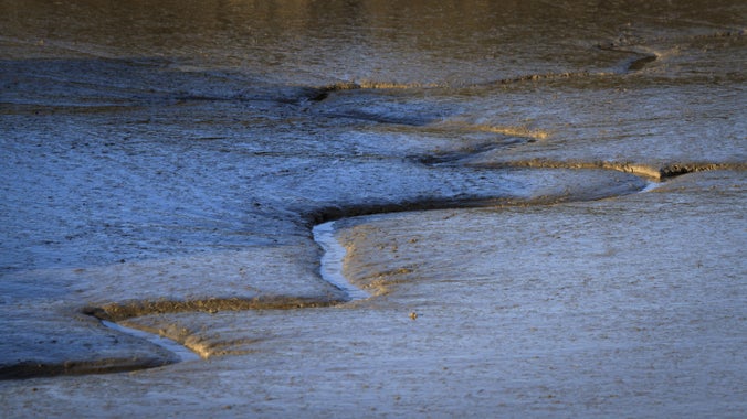 A channel running through mudflats at Northey Island, Essex